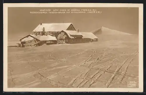 AK Riesengebirge, Wiesenbaude mit Schneekoppe, Lucní Chata se Snezkou