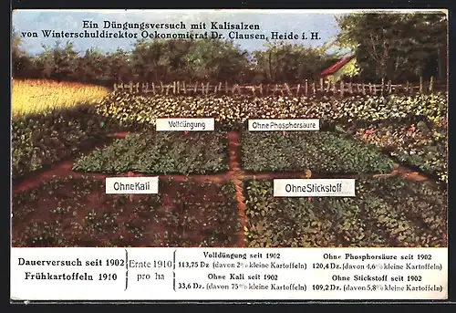 AK Dauerversuch seit 1902, Frühkartoffelnm 1910, Volldüngung, Ohne Kali, Ohne Phosphorsäure und ohne Stickstoff