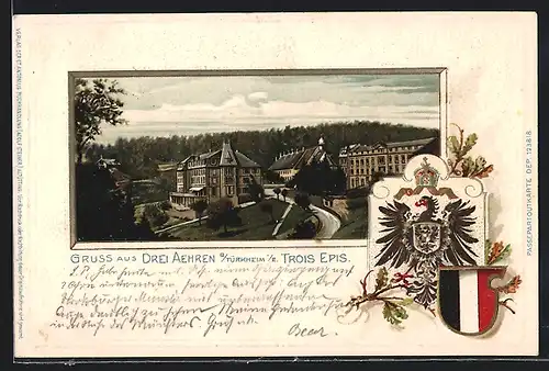 Passepartout-Lithographie Drei Aehren b. Türkheim, Ortspartie mit Kirche, Wappen