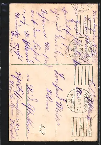 AK Colmar i. Els., Vue de la lauch