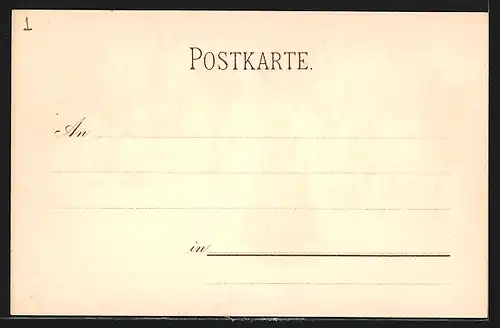 Lithographie Mülhausen, Genoveva Kirche, Rathaus, Frau in Tracht