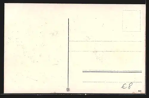 AK Colmar, Rue de Tanneurs