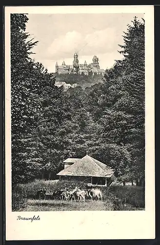 AK Braunfels, Hirsche vor einem Waldhaus mit Blick zum Schloss