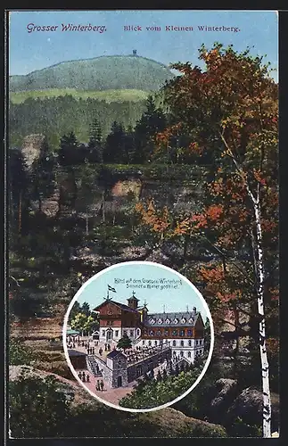 AK Grosser Winterberg, Hotel, Blick vom Kleinen Winterberg