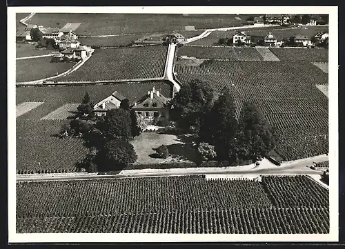 AK Mont-sur-Rolle, Domaine de Montbenay