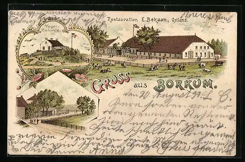 Lithographie Borkum, Restaurant von E. Bekaan, Vogel-Colonie