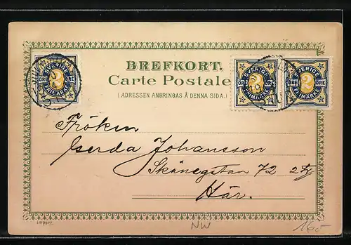 AK Narvik, Strassenpartie mit Geschäft O. Chr. Krog