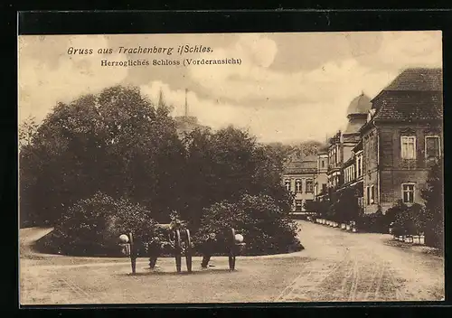 AK Trachenberg i. Schles., Herzogliches Schloss, Kanonen