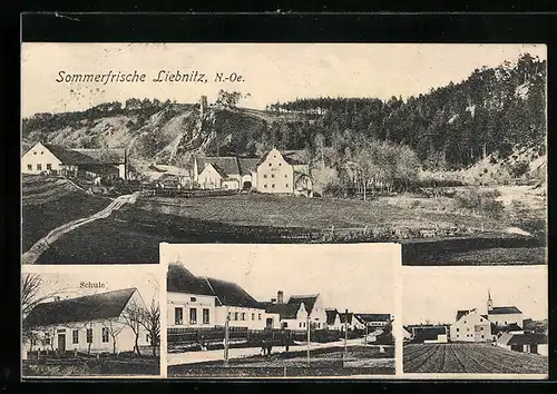 AK Raabs an der Thaya-Liebnitz, Ortsansicht mit Schule, Strassenpartie, Blick über die Felder