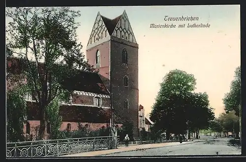 AK Treuenbrietzen, Marienkirche mit Lutherlinde