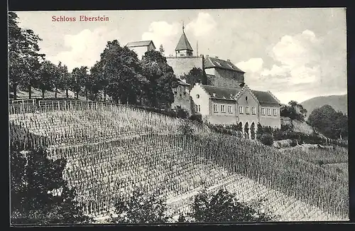 AK Gernsbach, Schloss Eberstein mit Weinberg