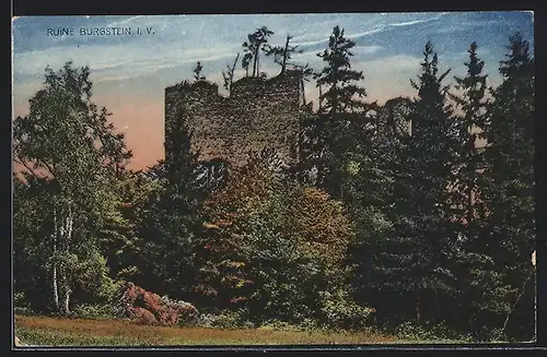 AK Burgstein, Ansicht der Ruine mit Tannen