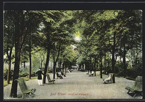 AK Bad Elmen, Allee im Kurpark