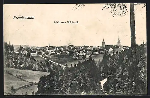 AK Freudenstadt, Blick vom Schöneck