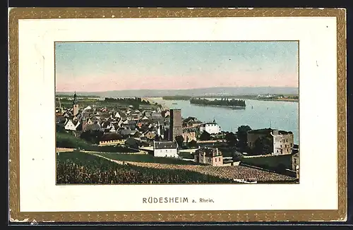 AK Rüdesheim a. Rhein, Gesamtansicht des Ortes
