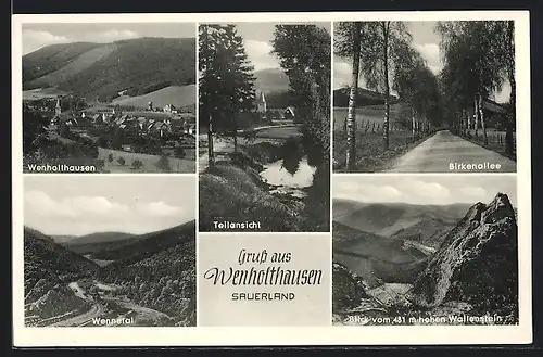 AK Wenholthausen, Ortsansicht, Teilansicht und Birkenallee