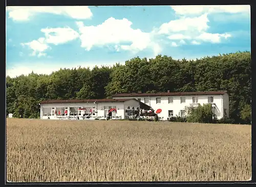 AK Arnsburg / Oberhessen, Gasthaus Zum Klosterwald