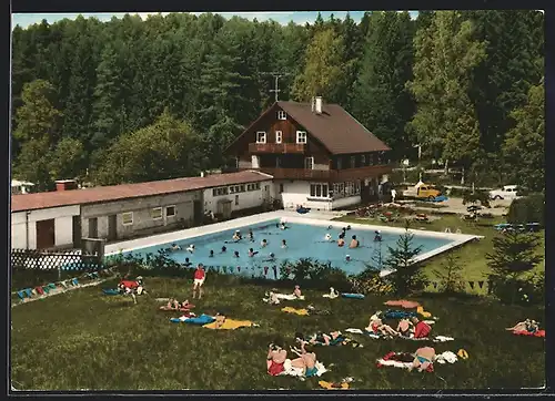 AK Wart / Altensteig, belebte Szene am Waldschwimmbad