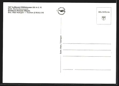 AK Dittishausen /Schwarzwald, Gasthaus-Pension Rössle mit Terrasse