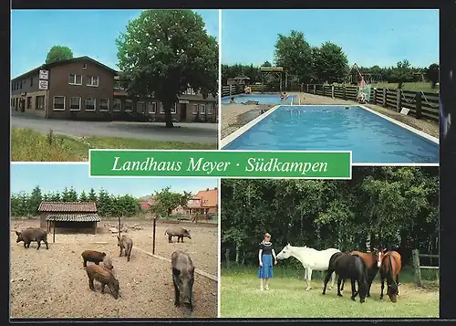 AK Südkampen, Landhaus Meyer mit Wildschwein-Gehege, Pferdekoppel und Schwimmbad