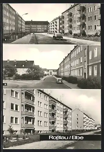 AK Rosslau /Elbe, Puschkinallee mit Betriebsberufsschule Josef Ressel