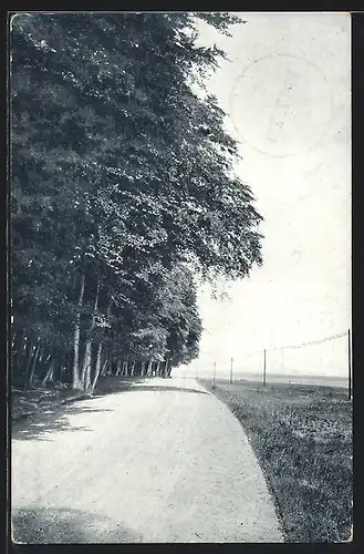 AK Timmendorf-Scharbeutz, Partie an der Strandstrasse