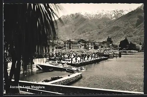 AK Ascona /Lago Maggiore, Panorama