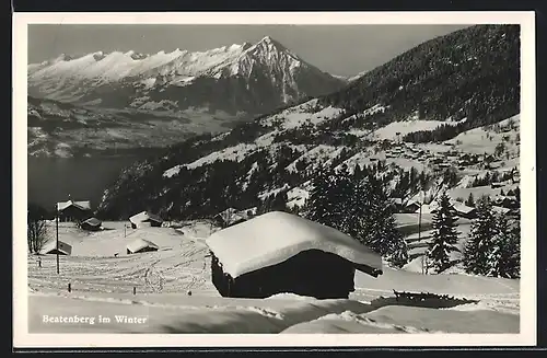 AK Beatenberg, Panorama im Schnee