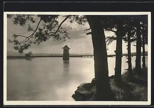 AK Rapperswil, Uferpartie mit Bäumen am Abend