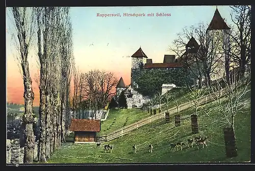 AK Rapperswil, Hirschpark mit Schloss