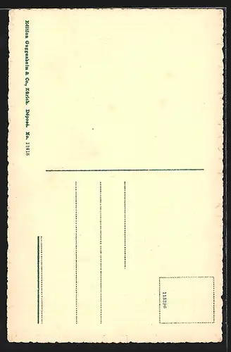 AK Rapperswil, Ansicht vom Schloss