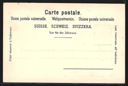 Lithographie Zürich, Teilansicht der Stadt, Segelboot