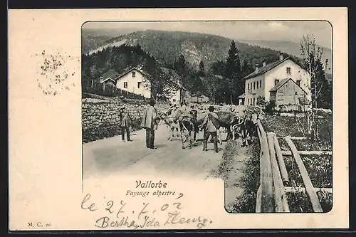 AK Vallorbe, Paysage alpestre