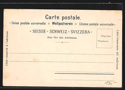 Lithographie Zürich, Panoramablick auf Stadt und Alpen