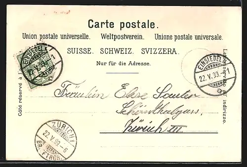 Lithographie Einsiedeln, Ortsansicht aus der Vogelschau