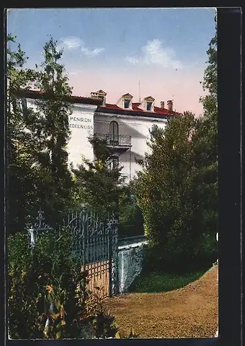 AK Lugano-Montarina, Villa Raffaele, Pension Edelweiss