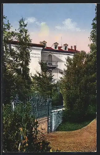 AK Lugano-Montarina, Pension Edelweiss, Villa Raffaele