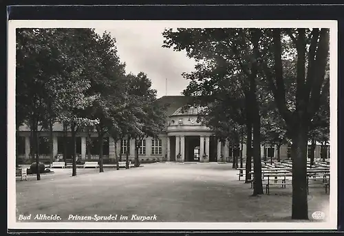 AK Bad Altheide, Prinzen-Sprudel im Kurpark