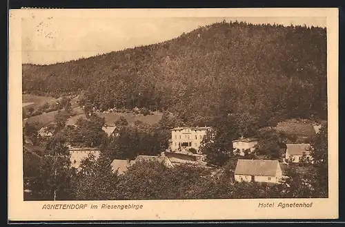 AK Agnetendorf im Riesengebirge, Hotel Agnetenhof