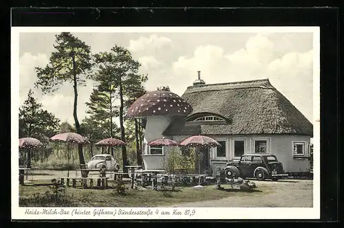 AK Gifhorn, Restaurant Heide-Milch-Bar an der Bundesstrasse 4