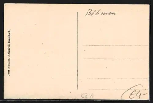 AK Bodenbach-Tetschen, Schloss und Ausflugsschiff