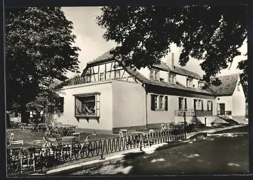 AK Wandersleben /Th., Gasthaus Freudenthal mit Terrasse