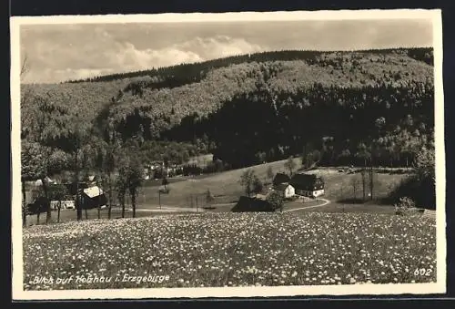AK Holzhau /Erzg., Ortsansicht mit blühender Wiese