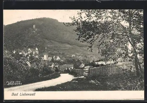 AK Bad Liebenzell, Gesamtansicht mit Landstrasse