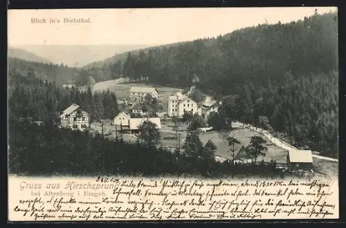 AK Hirschsprung bei Altenberg /Erzg., Blick ins Bielathal