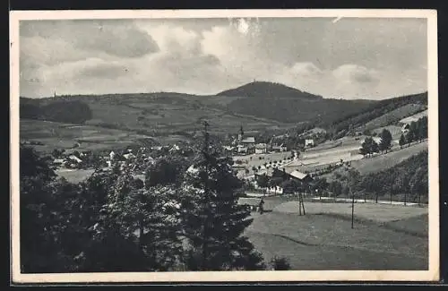 AK Geising /Erzg., Gesamtansicht mit Landstrasse