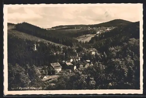 AK Kipsdorf /Erzg., Gesamtansicht von oben