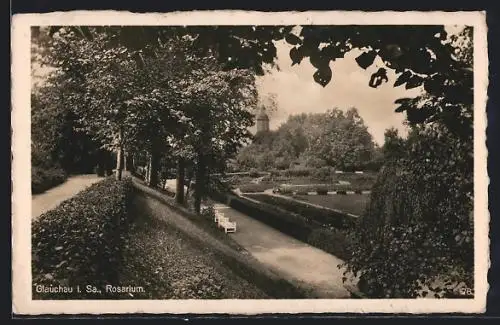 AK Glauchau i. Sa., Partie im Rosarium