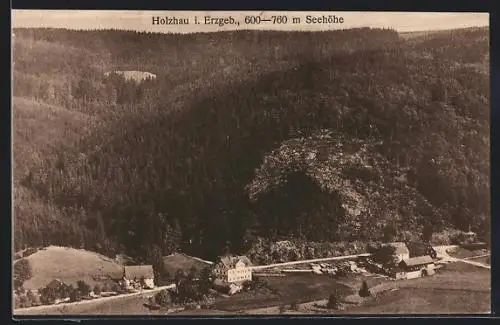 AK Holzhau /Erzg., Ortsansicht mit Wald aus der Vogelschau