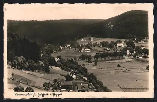 AK Holzhau /Erzg., Gesamtansicht mit Feldern und Bergen